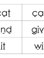 Vocabulary Cards (USA)