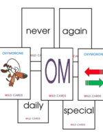 Wild Cards: Oxymorons (American Version)